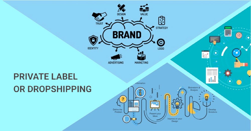 dropshipping or private label business model