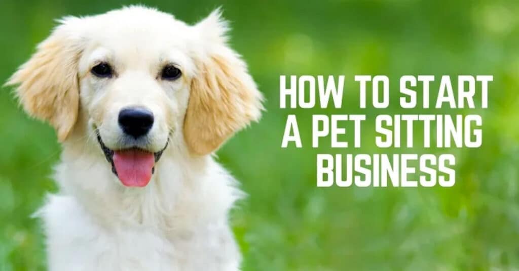 start a pet business